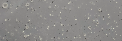 Top 3 Epoxy Flooring Concerns YOU MUST (and can) Avoid: Part 1: Fish Eyes or Craters